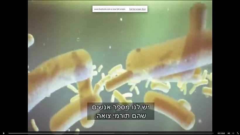 מלחמת החידקים