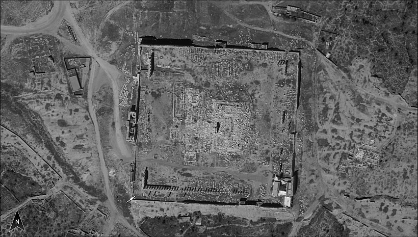 אתר המורשת העולמית 'תדמור' שבסוריה, את עתיקות העיר הקדומה ואת התאטרון הרומי המפורסם