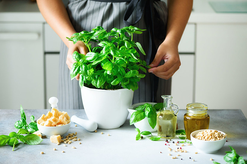 Woman,in,style,apron,holding,pot,with,fresh,organic,basil,
