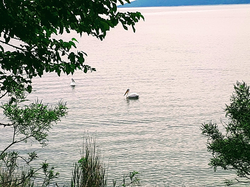 אגם קרניני. צילום: עינת הרשקו