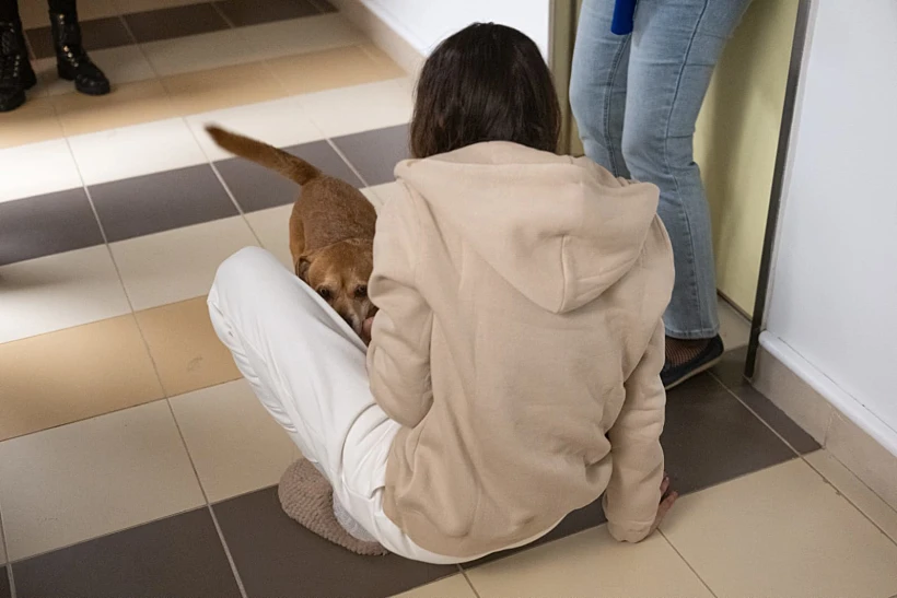 מורן סטלה ינאי עם כלבתה בבית החולים