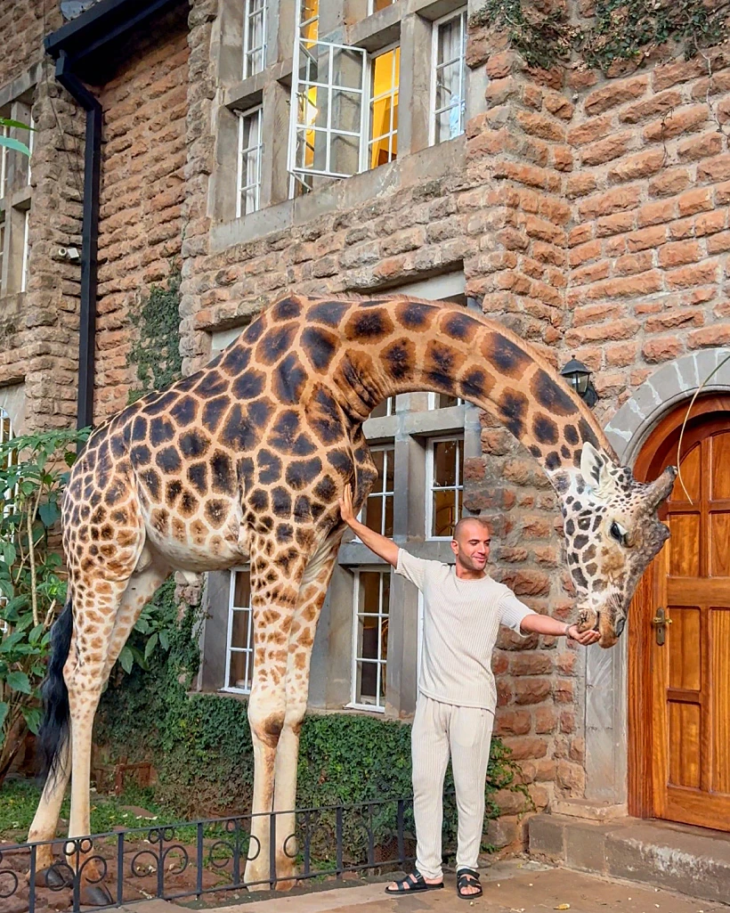 מלון Giraffe manor