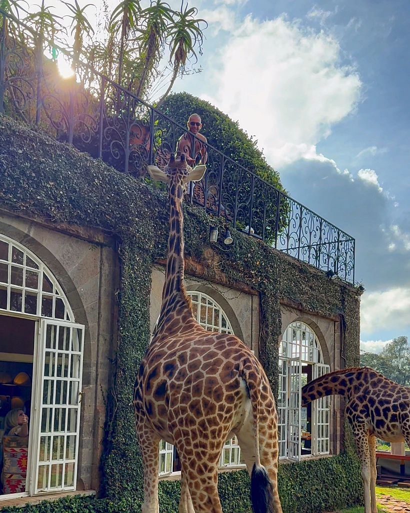 מלון Giraffe manor
