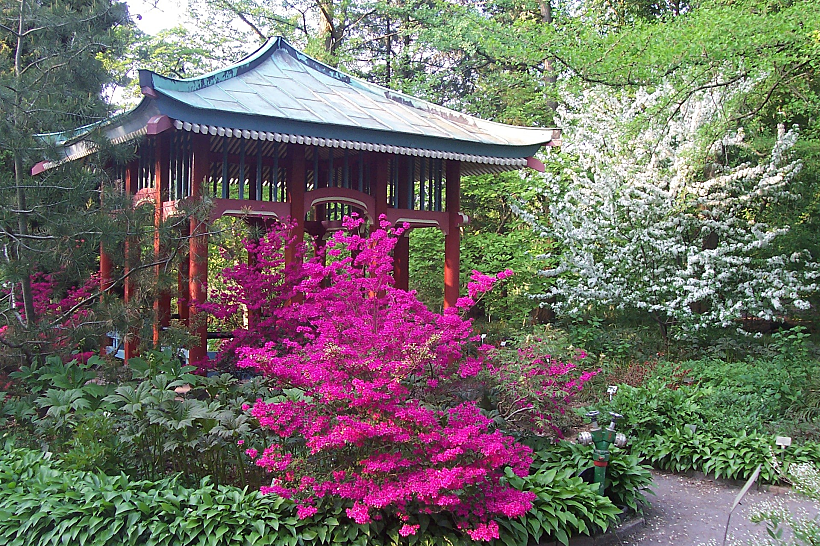 Botanical Garden גן יפני בגנים הבוטניים של ברלין