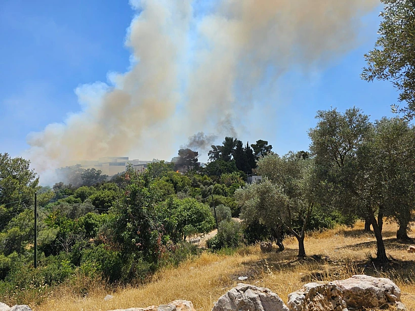 שריפה בעמק המצלבה בירושלים