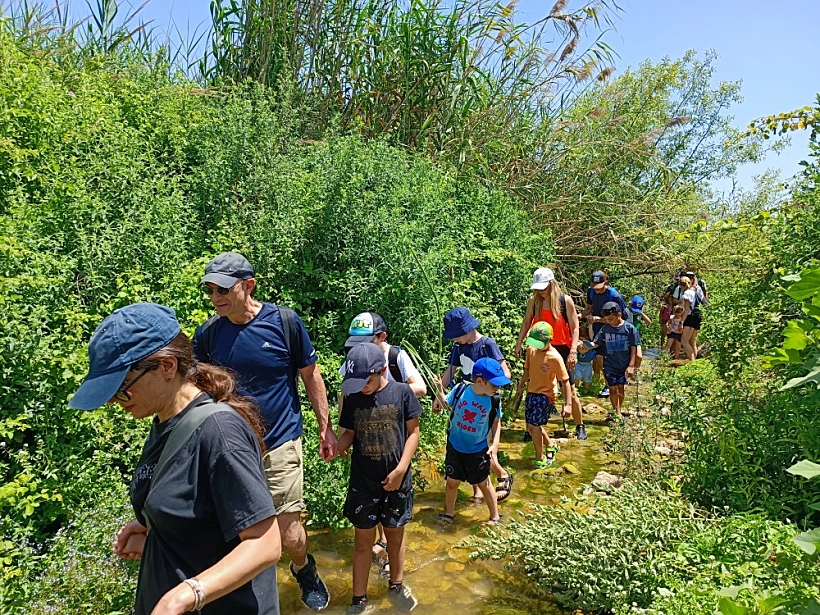 מחנה ביער אלונה של אופק רון כרמל