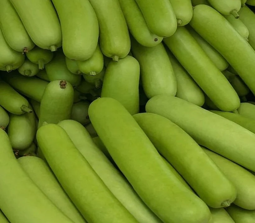 Image,of,bottle,gourd,from,market