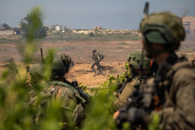 כוחות צה"ל ברצועת עזה