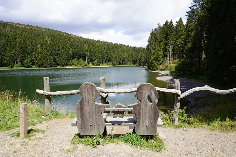 A,bench,at,liebesbankweg,near,hahnenklee,in,the,harz,mountains מסלול ספסלי האוהבים (Liebesbankweg) בהרי ההרץ גרמניה