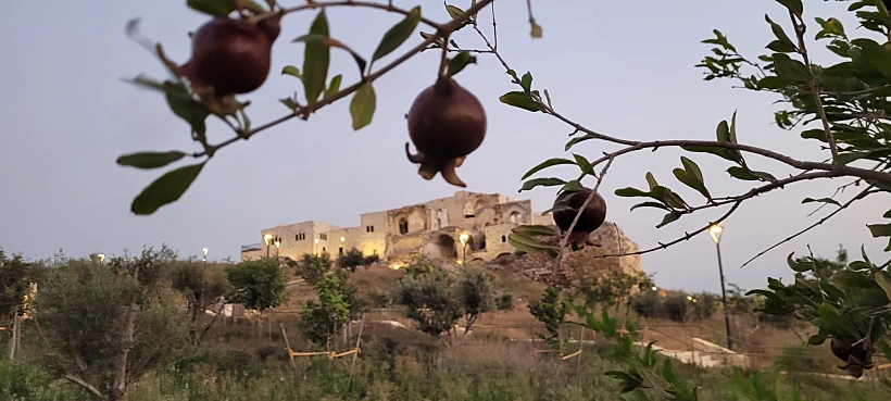 גן לאומי מגדל צדק: סיור מודרך - נופי שקיעה בצדק