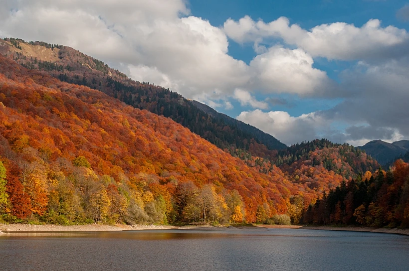 Autumn,in,biogradska,gora,national,park,,kolasin,,montenegro.הפארק הלאומי ביוגרדסקה גורה מונטנגרו