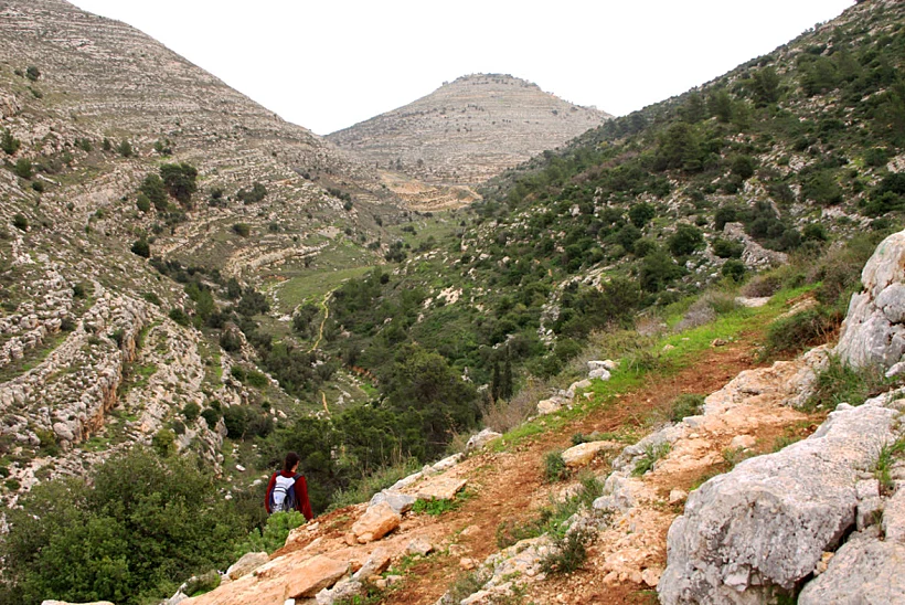 שמורת טבע יער הכפירה