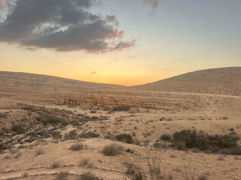 שקיעה מדברית