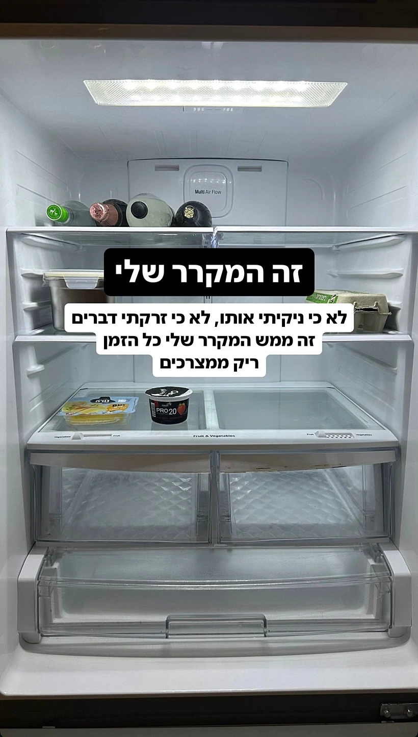 המקרר של דנית לפני