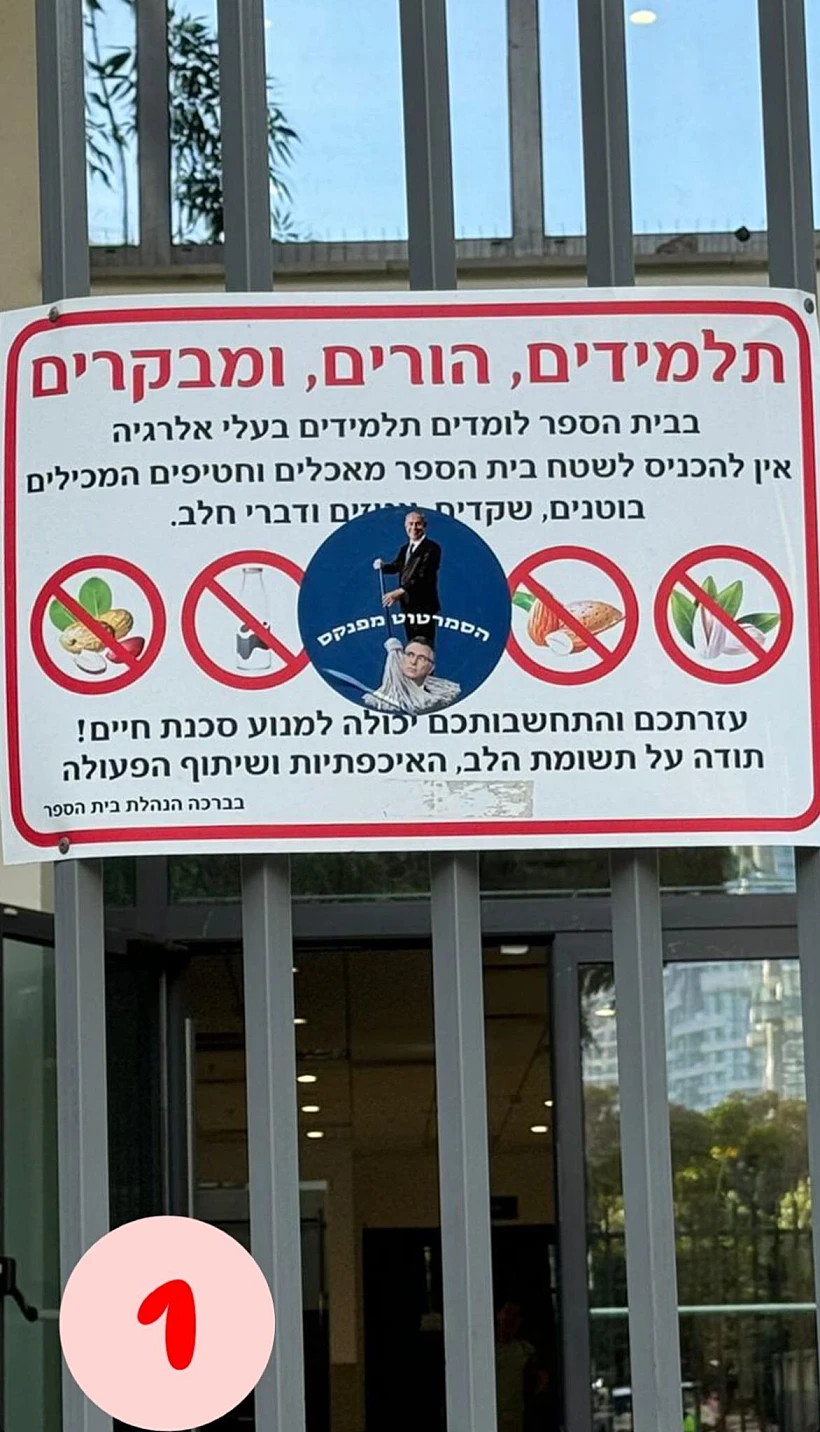 אלונה סער