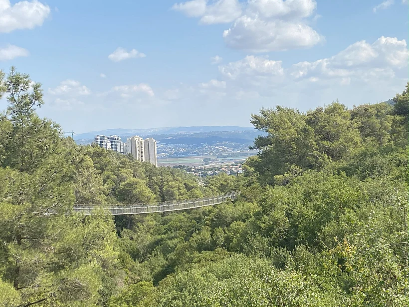 הגשרים התלויים בנחל קטיע