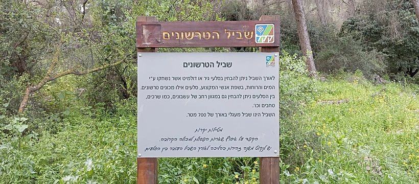 שביל הטרשונים ביער בית קשת