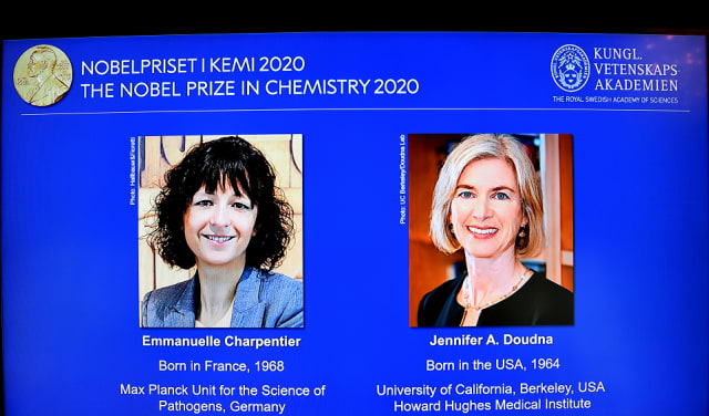 זוכות פרס נובל בכימיה: שתי חוקרות שפיתחו שיטה לעריכת הגנום | חדשות 13
