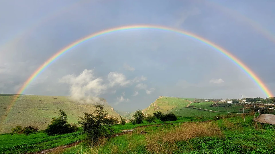 צפון