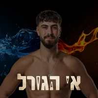 שקד ירושלמי, רכיב מתמודדים - אי הגורל