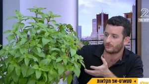הכירו את הפיתוח הישראלי שמאפשר לשלוט על העציצים מרחוק