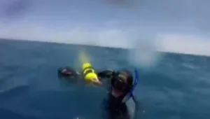 אוסטרליה: יצא לבדו לצלול, נסחף - וחולץ לאחר 14 שעות בלב ים