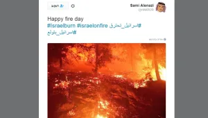 שונאי ישראל על שריפות הענק בחיפה: "החדשות הכי טובות בעולם"