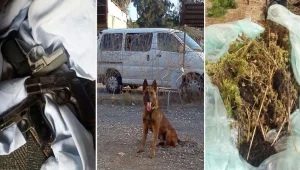 הכלב המשטרתי איתר: אקדחים, חשיש ותחמושת
