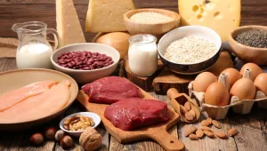 מחקר חדש טוען כי דיאטה דלת חלבונים פוגמת בגוף