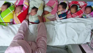 הרשויות מעכבות אימוץ תינוקות מפונדקאות