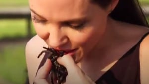 מה גרם לאנג'לינה ג'ולי לבשל ולאכול חרקים?