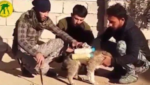 כך נראה כלב התופת של דאע"ש