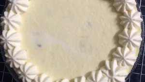 מוס גבינה ופסיפלורה