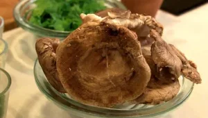 מה ניתן להכין מפטריות שיטאקי טריות?