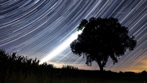 כוכב נופל: ליל מטאורים קסום בפארק תמנע