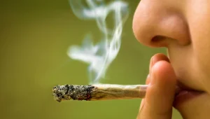 כאן זה חוקי: איפה בעולם מותר לעשן מריחואנה?