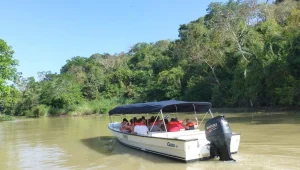 ג'ונגל אורבני: שייט מהפנט בתעלה היסטורית