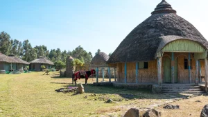 הגג של אפריקה: טיול יוצא דופן בצפון אתיופיה