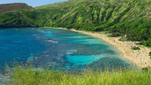 לא תרצו לחזור הביתה: הצצה לאי אוהאו בהוואי