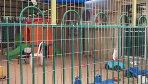 בן 3 נחנק בגן הילדים מחול ומת