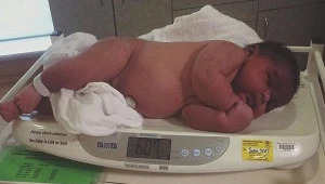תינוק במשקל מדהים של 7.4 ק"ג נולד בניו זילנד
