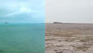 הוריקן "אירמה" הפך את הים למדבר צחיח