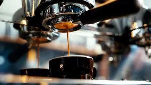 16 עובדות לא חשובות על קפה