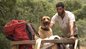 חברים למסע: לוחם "עוקץ" שחוצה את ישראל עם כלבו החולה
