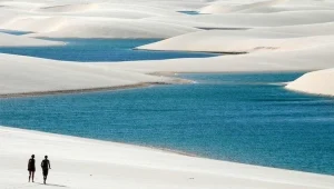 תופעות טבע נדירות: המדבר הצחיח שהופך לים בחלק מהעונה