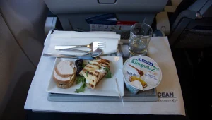 קשה לעיכול: הדוח שחושף - עד כמה האוכל במטוס בטוח לאכילה?