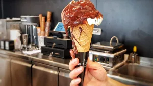 השוקולד שמקציף את עצמו: בגלידריה החדשה הזאת תטעמו גלידה מזן חדש