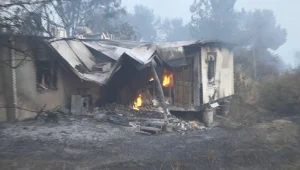 אש בוערת בבתים וגינות מפויחות: תיעוד בלעדי של השריפה בהראל