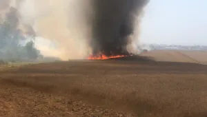 4 שריפות פרצו בעוטף עזה – 100 דונם של חיטה נשרפו