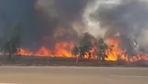 השדות נשרפים והקפה מתקרר: היערנים שנלחמים בשריפות בעוטף עזה